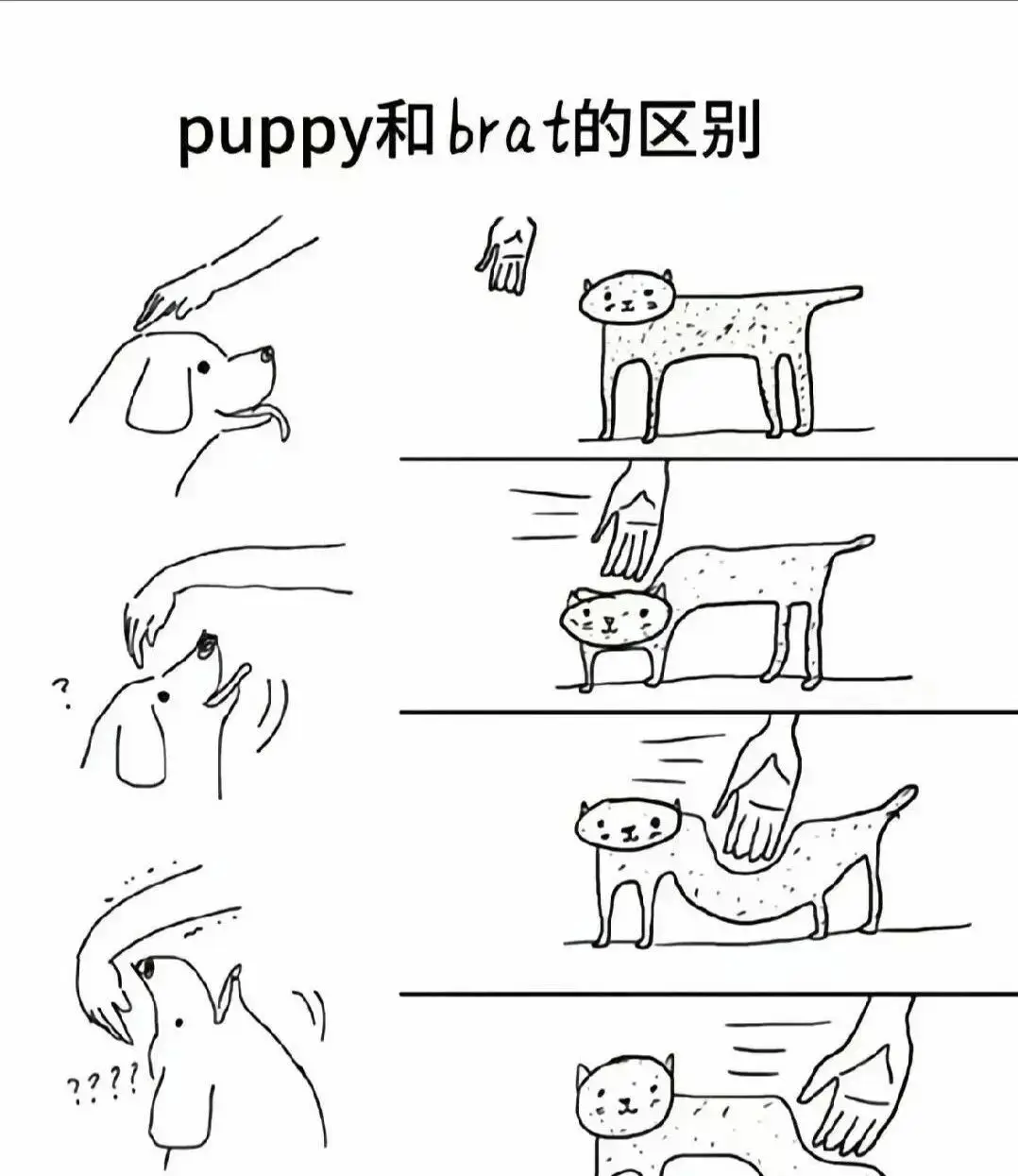西檬之家-字母圈新人入圈指南：从基础术语到SSC安全原则