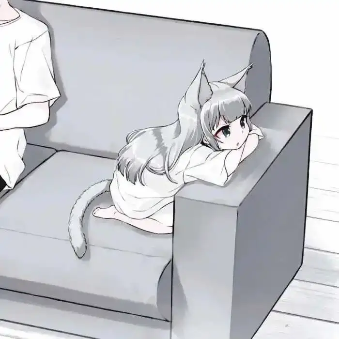 k8猫系 - 微信图片_20250725204754