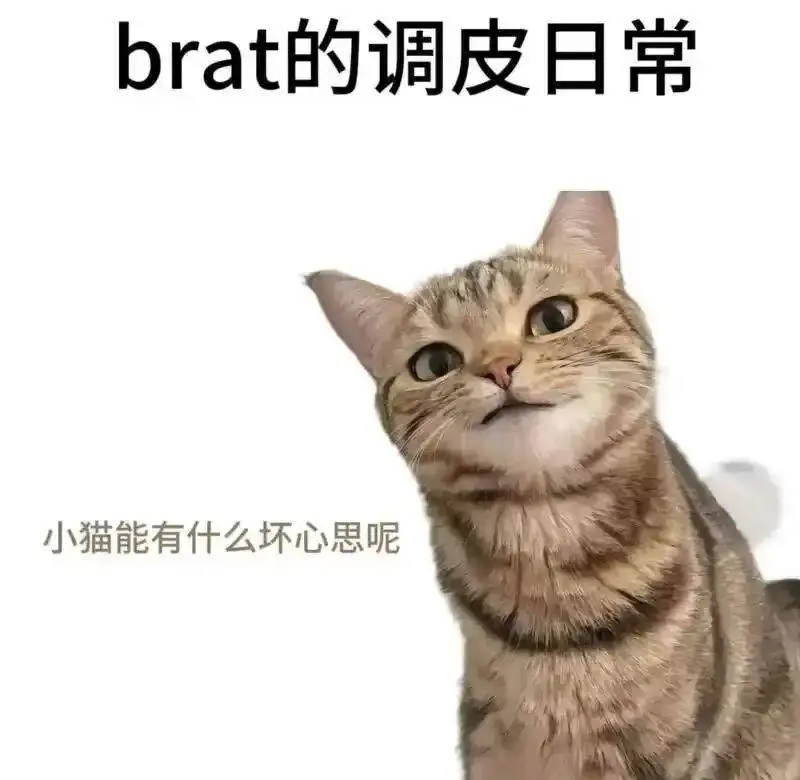 西檬之家-TK是什么？字母圈新人入圈指南