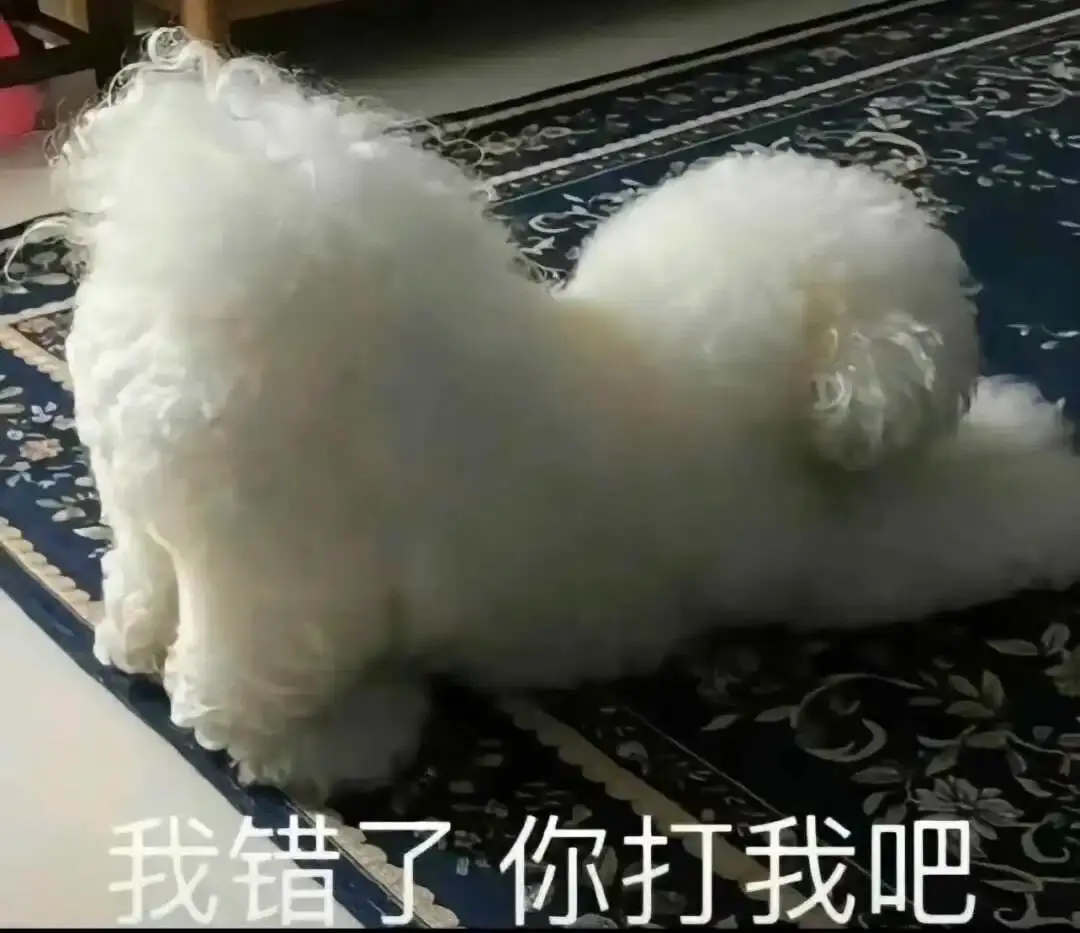西檬之家-Sp是什么：字母圈新人BDSM入门指南