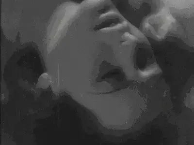 【西檬之家】字母圈新人必备术语百科全书