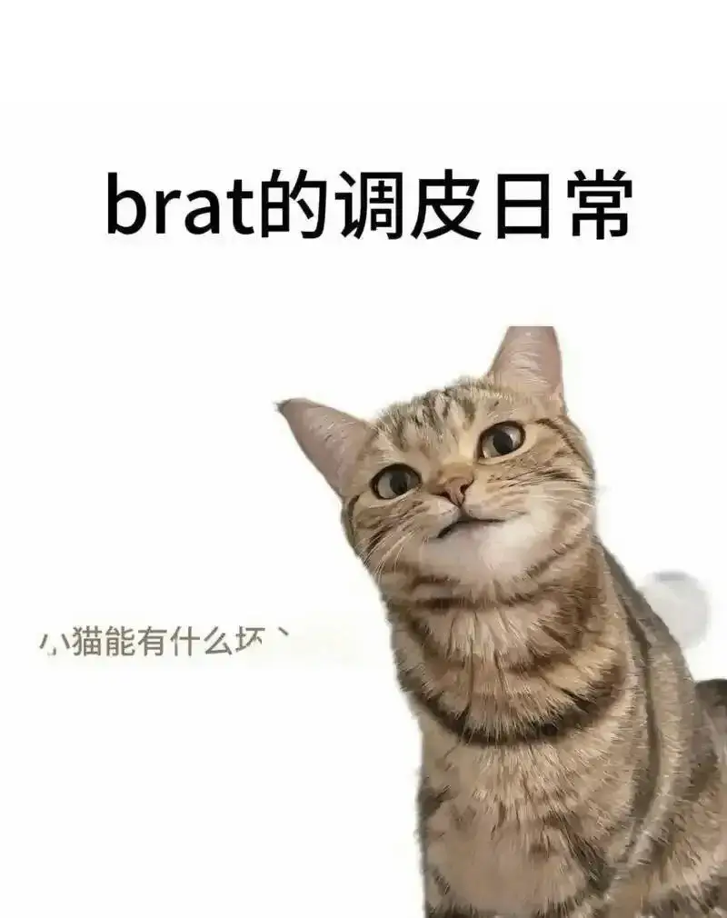 西檬之家-DT是什么？BDSM中的Dirty Talk如何正确使用