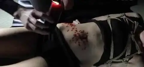 【西檬之家】TK是什么意思？字母圈BDSM新人指南