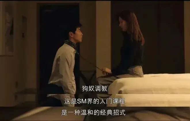 k9是什么 - 00544