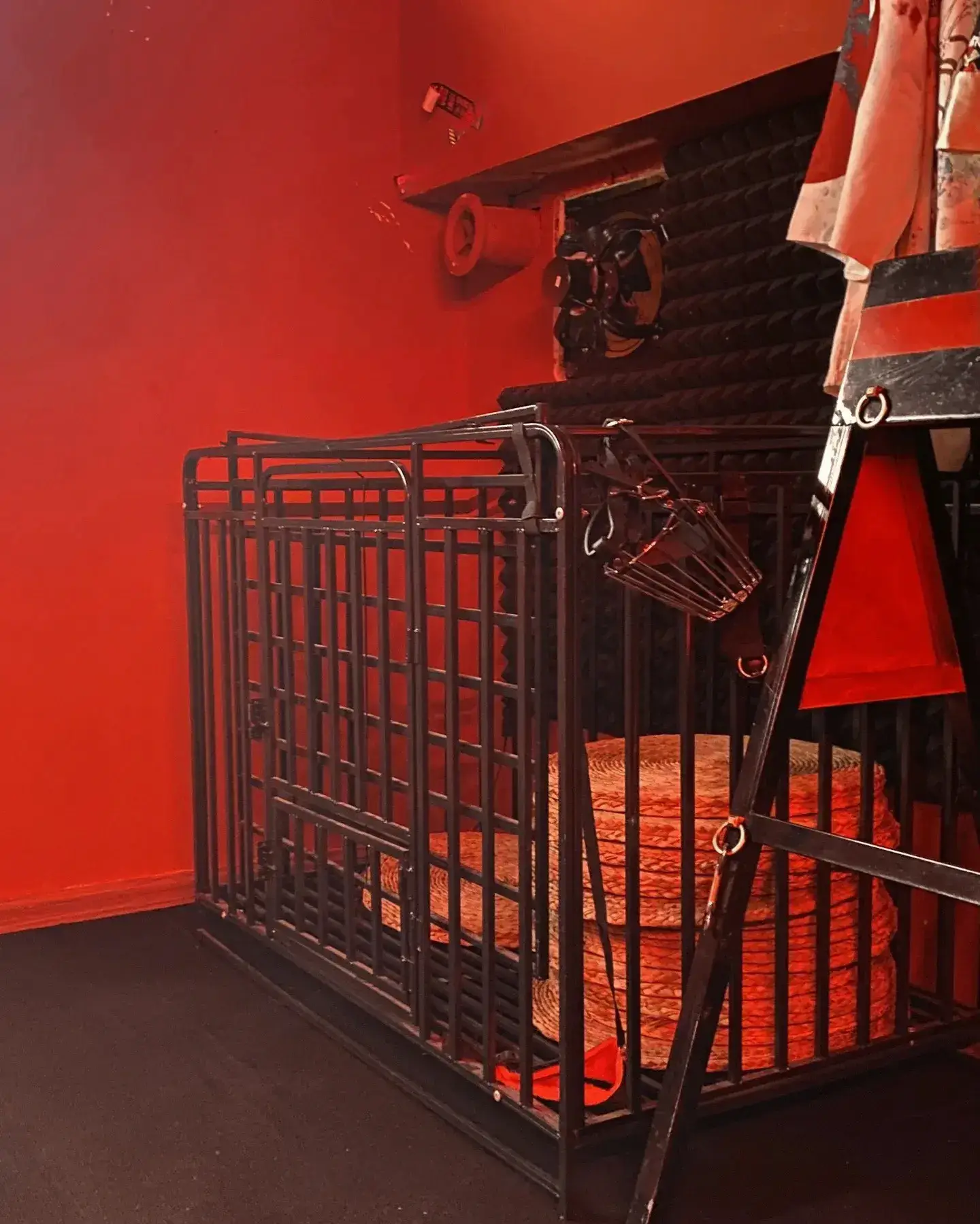 【西檬之家-字母圈新人入圈指南：从BDSM初学到信任建立】