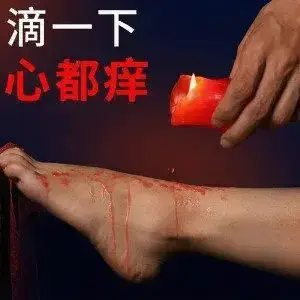 西檬之家-BDSM大圈新人入圈指南：从基础术语到角色认知