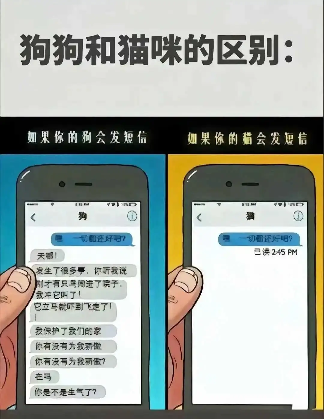 【西檬之家】斯慕圈全解析：从新人到资深玩家的必备知识